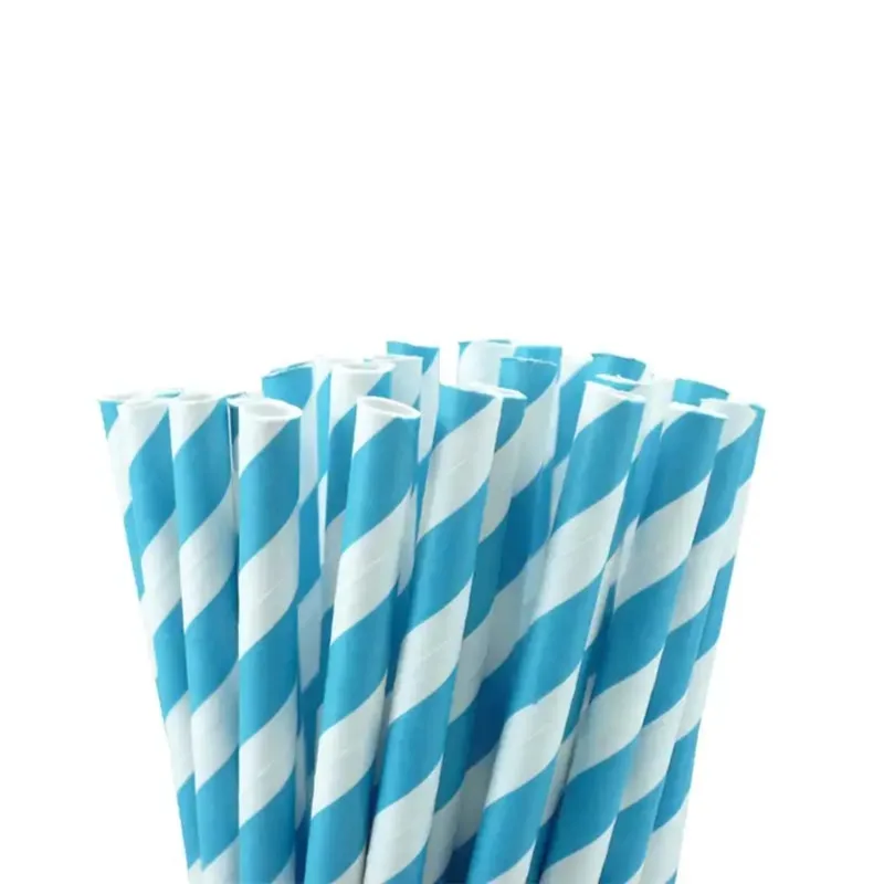 Compostable Paper Straw 8mm 100Pcs - 1